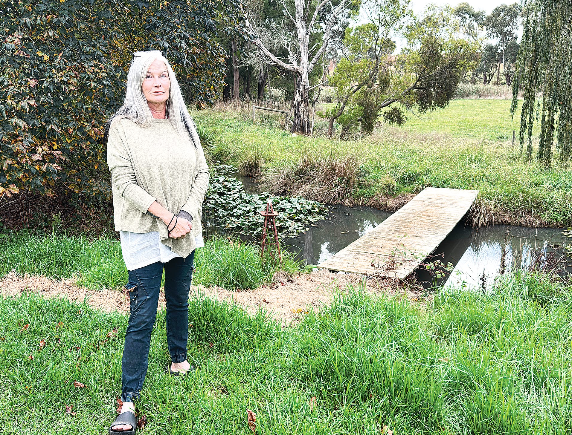 Council shuts down cattery and kennels to the dismay of clients