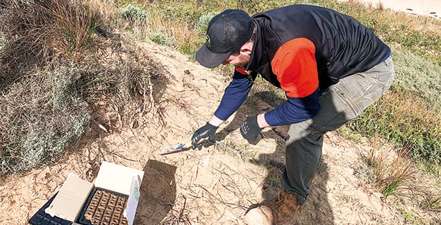Fox, rabbit control program continues