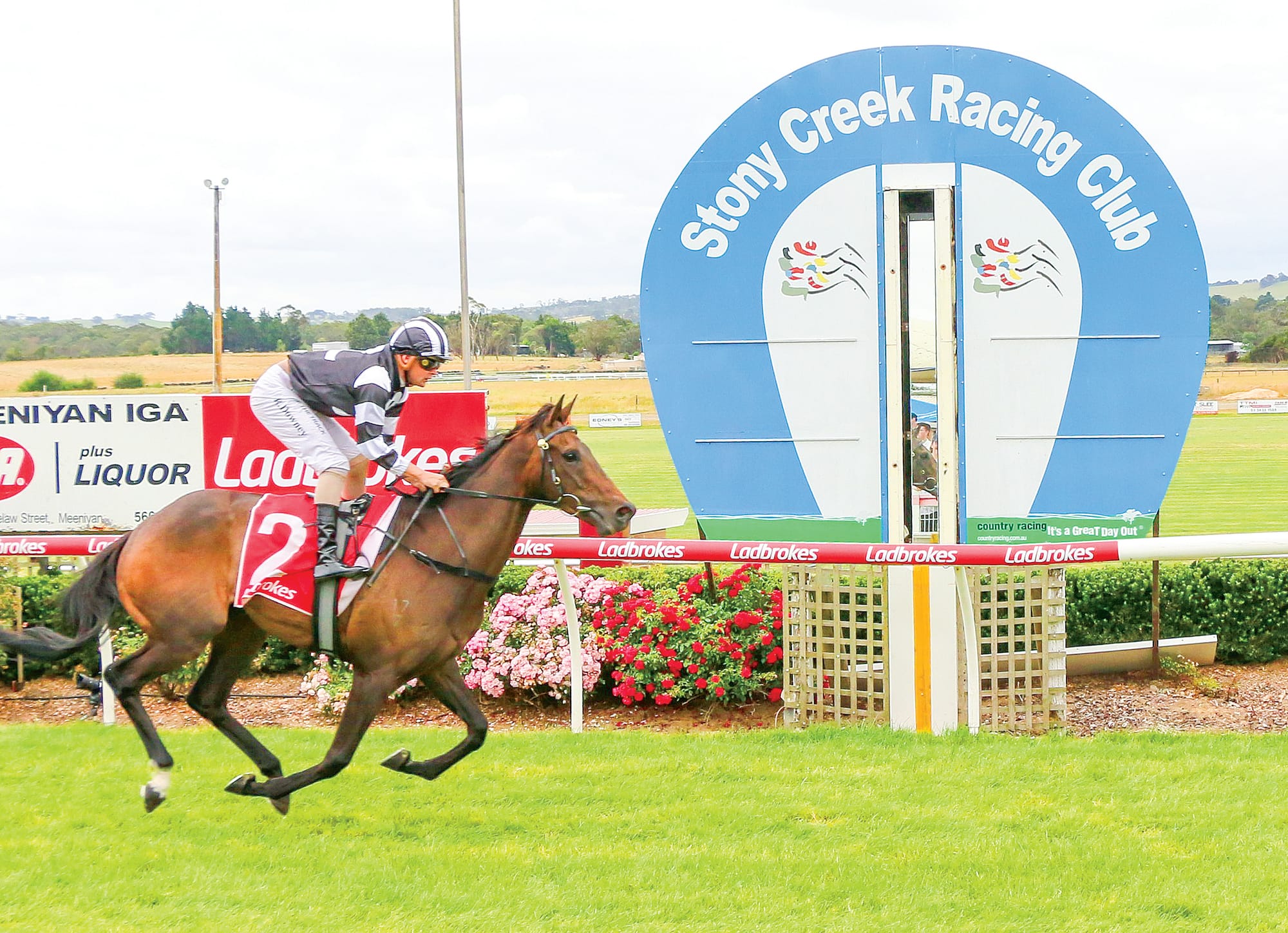 Makbeel easy winner of ‘Sentinel-Times’ maiden at Stony