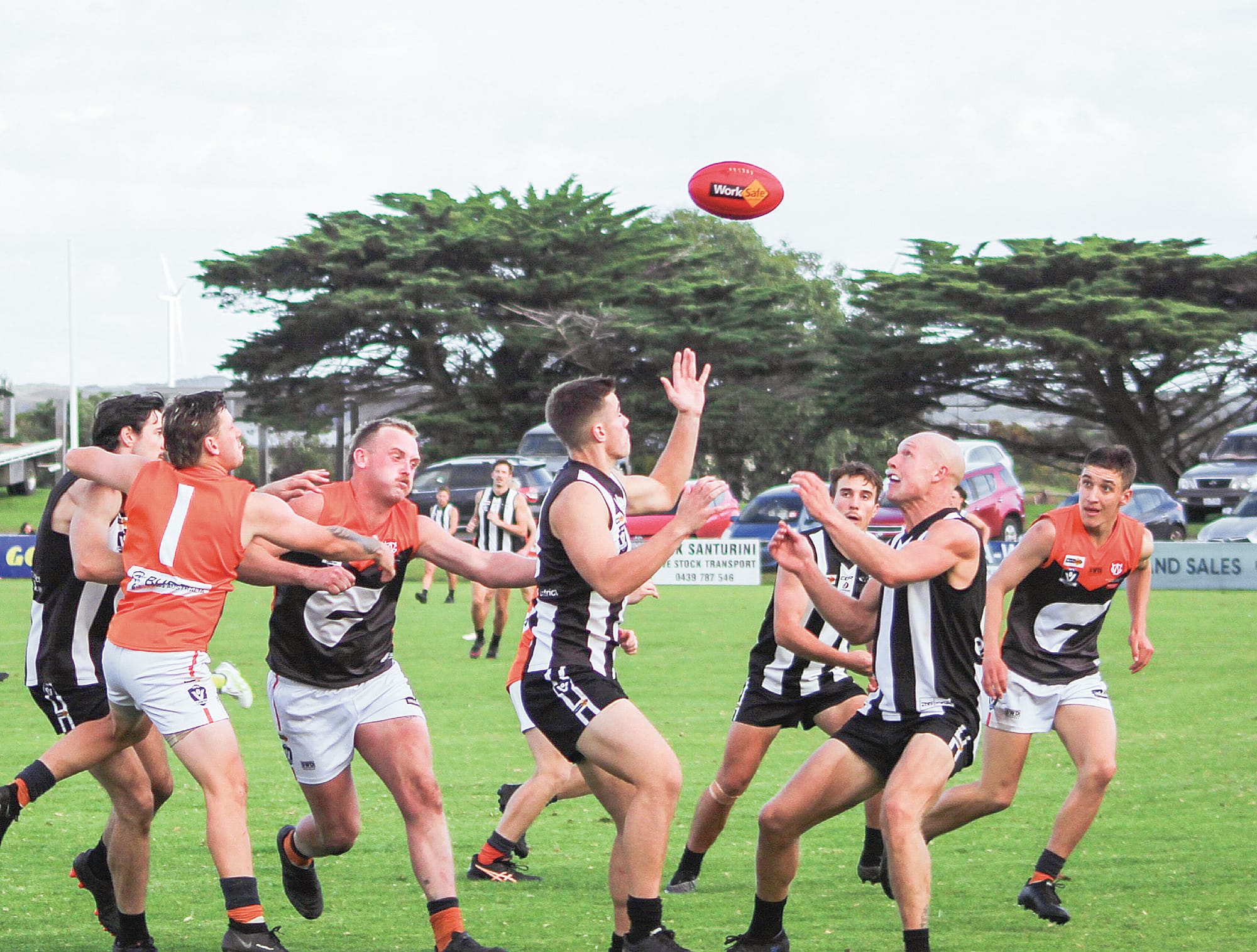 Carew catapults Dalyston to dominant victory