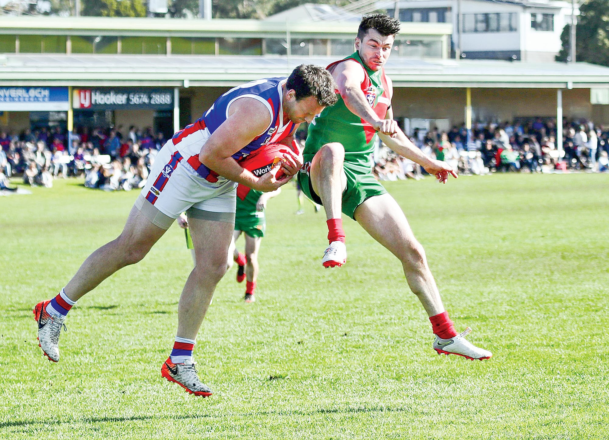 Seagulls swarm Bulldogs in final quarter for victory