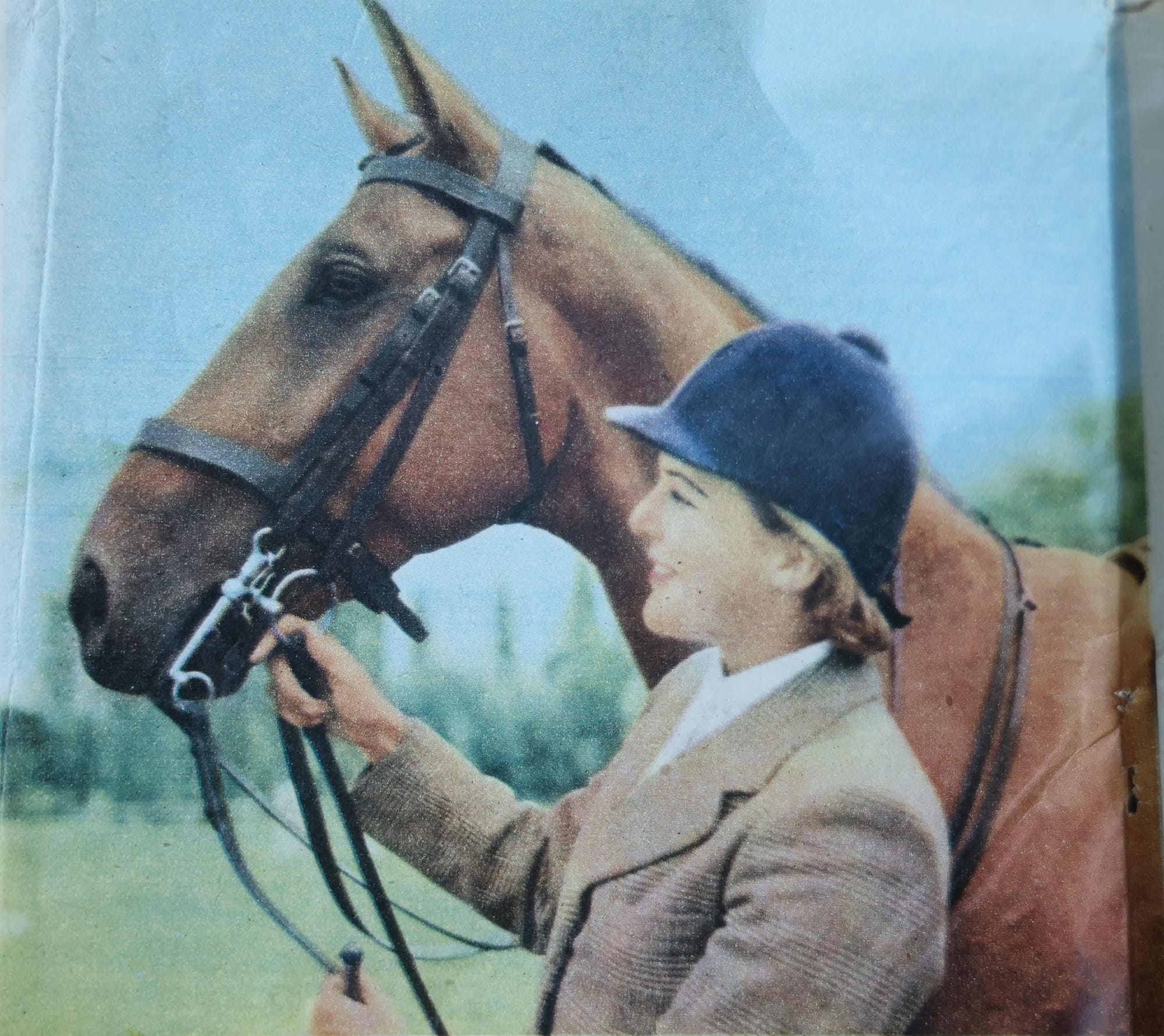 Melbourne Show: 70 years on, Anne Gibson and ‘Don Quixote’ honoured