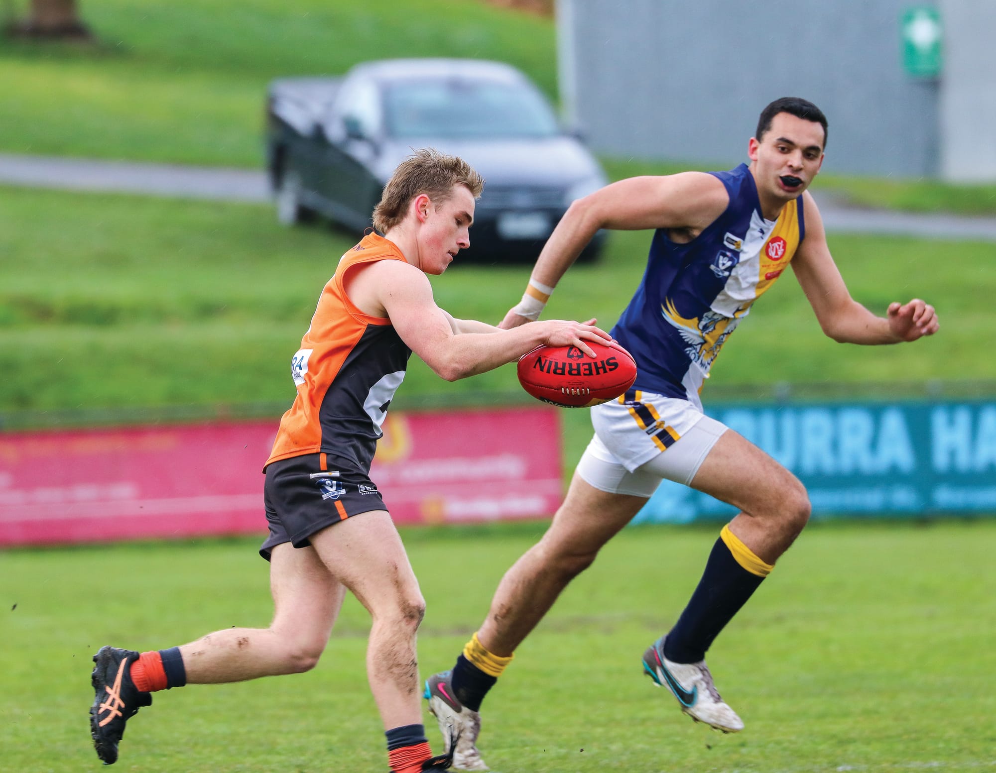 Sea Eagles soar in Korumburra