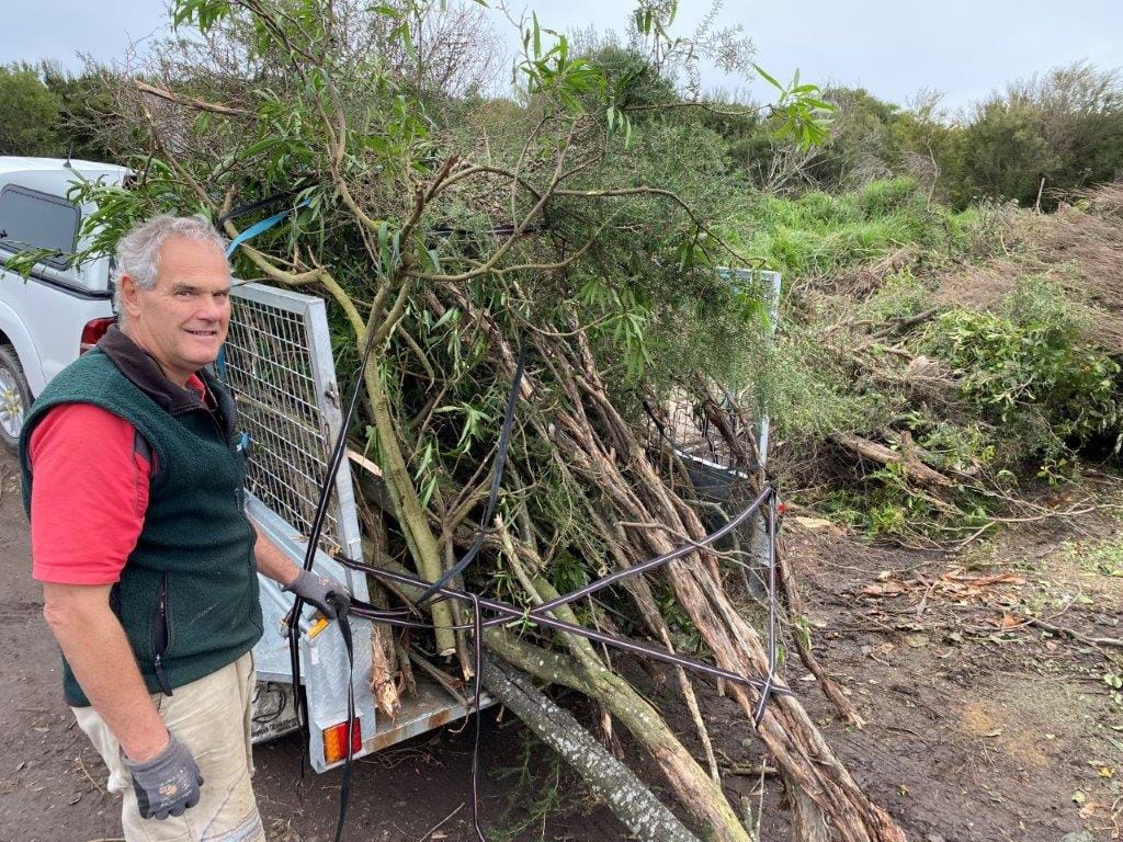 Green waste amnesty due to finish Wednesday