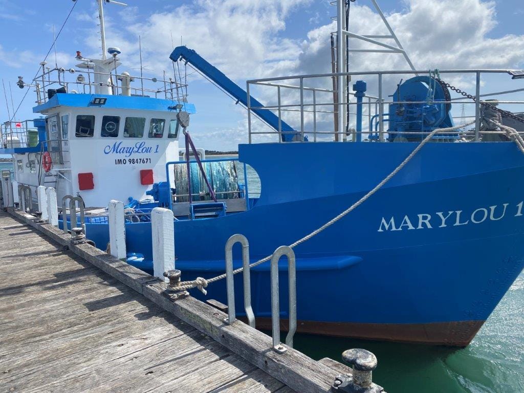 As well as the local fleet of fishing boats and pleasure cruisers, a number of visiting fishing boats regular call in at San Remo.