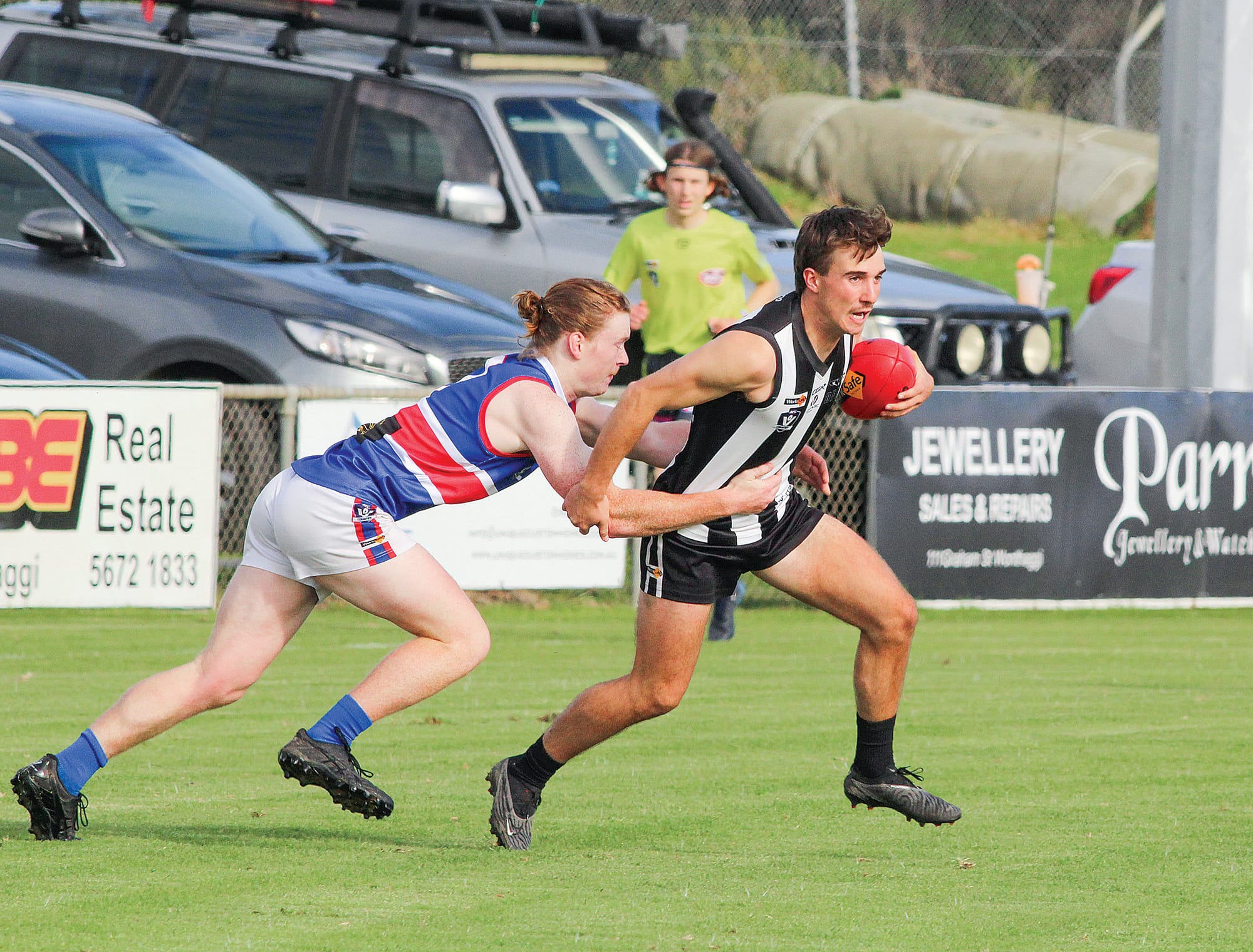 Magpies maul bereft Bunyip