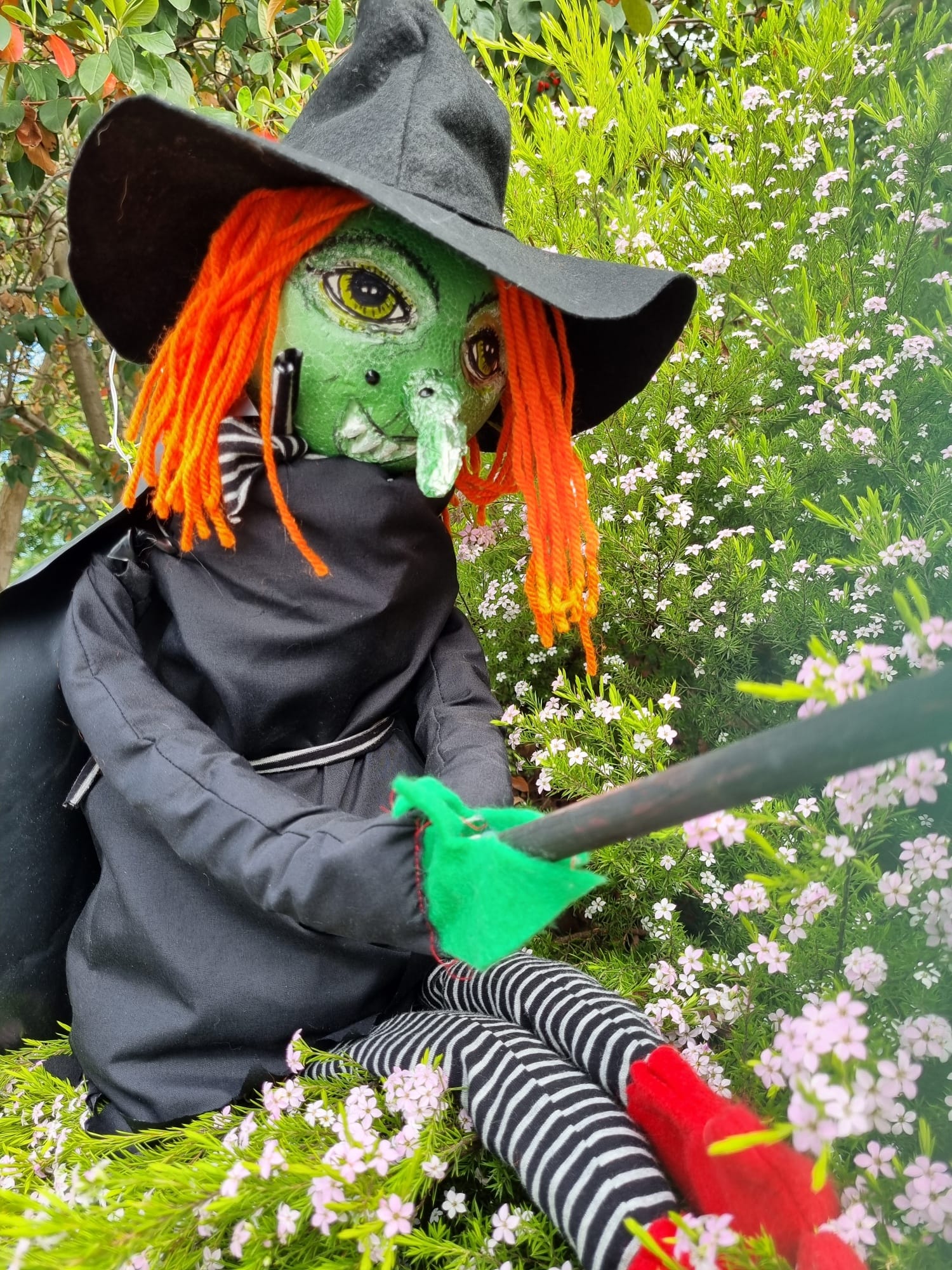 Explore the Bass Coast for the Great Witch Hunt