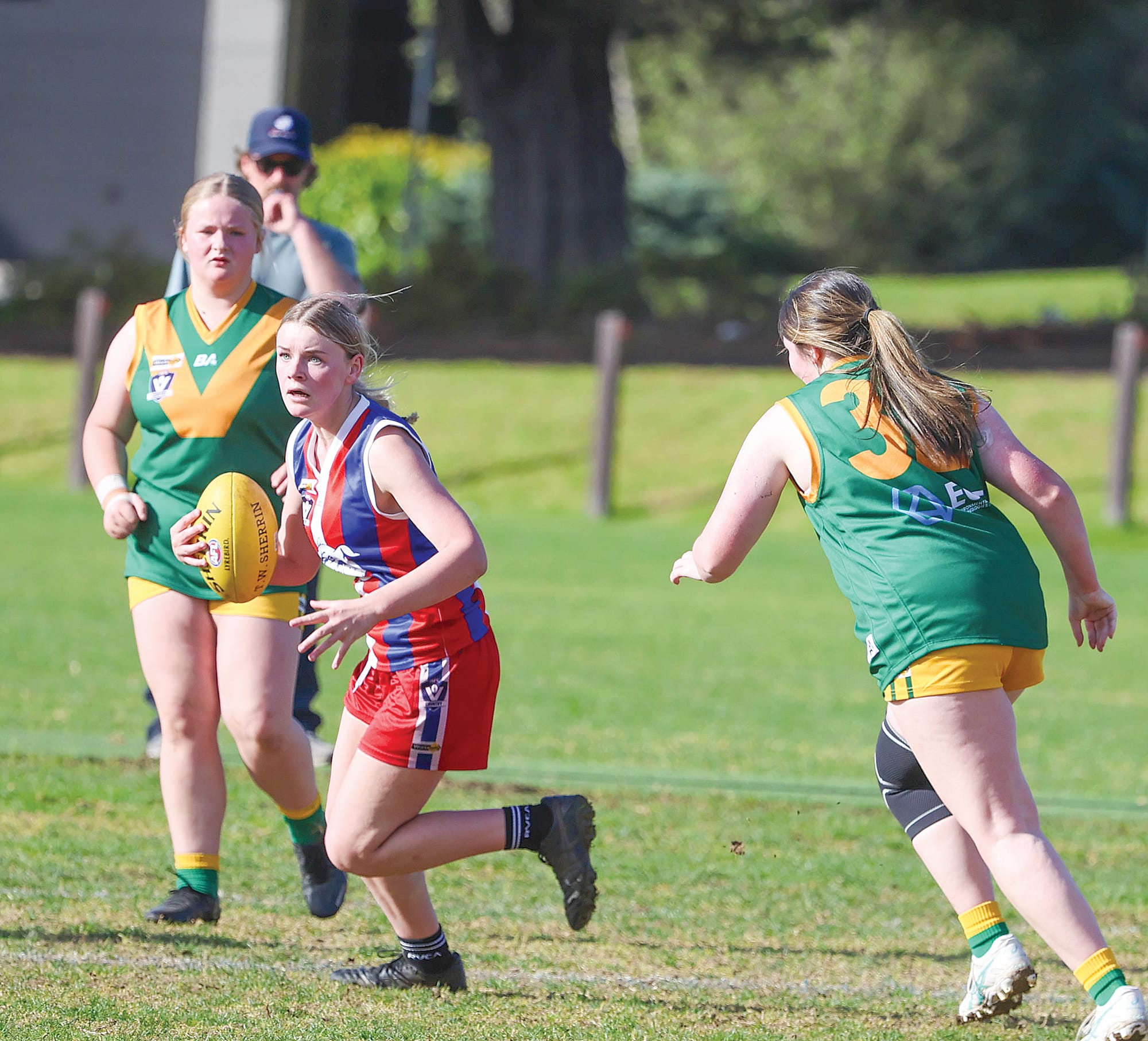 Bulldogs dominate under sunny skies