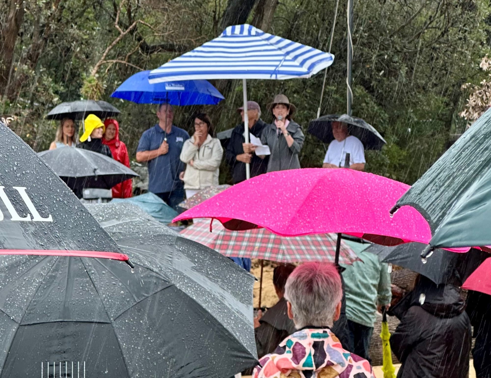 300 voices call for ‘urgent’ Silverleaves’ funding