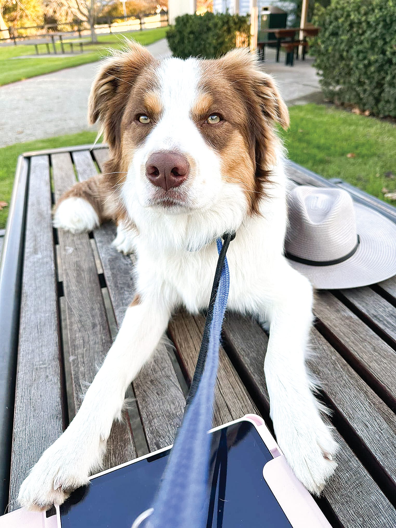 A whole community comes to the rescue