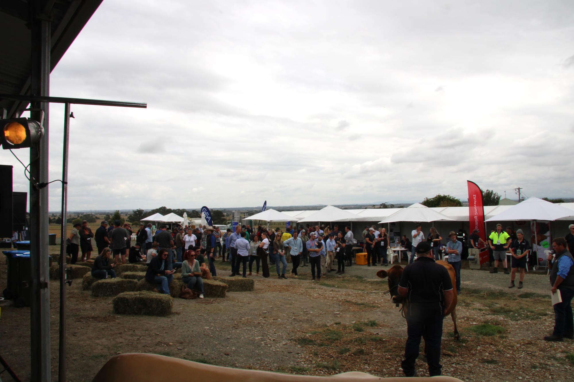 GippsDairy Muster 2024.