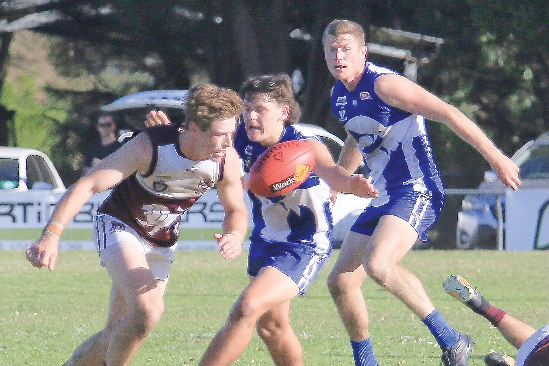 The Sharks close in on Lions for the ball. Photo: G.S. Bruning.