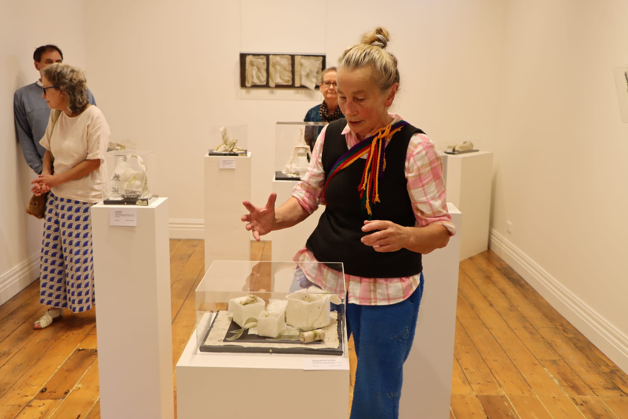 Artist Sue Gilford talks about Meg Viney’s ‘Scrolling Through Time Exhibition’ currently on at Meeniyan Art Gallery.