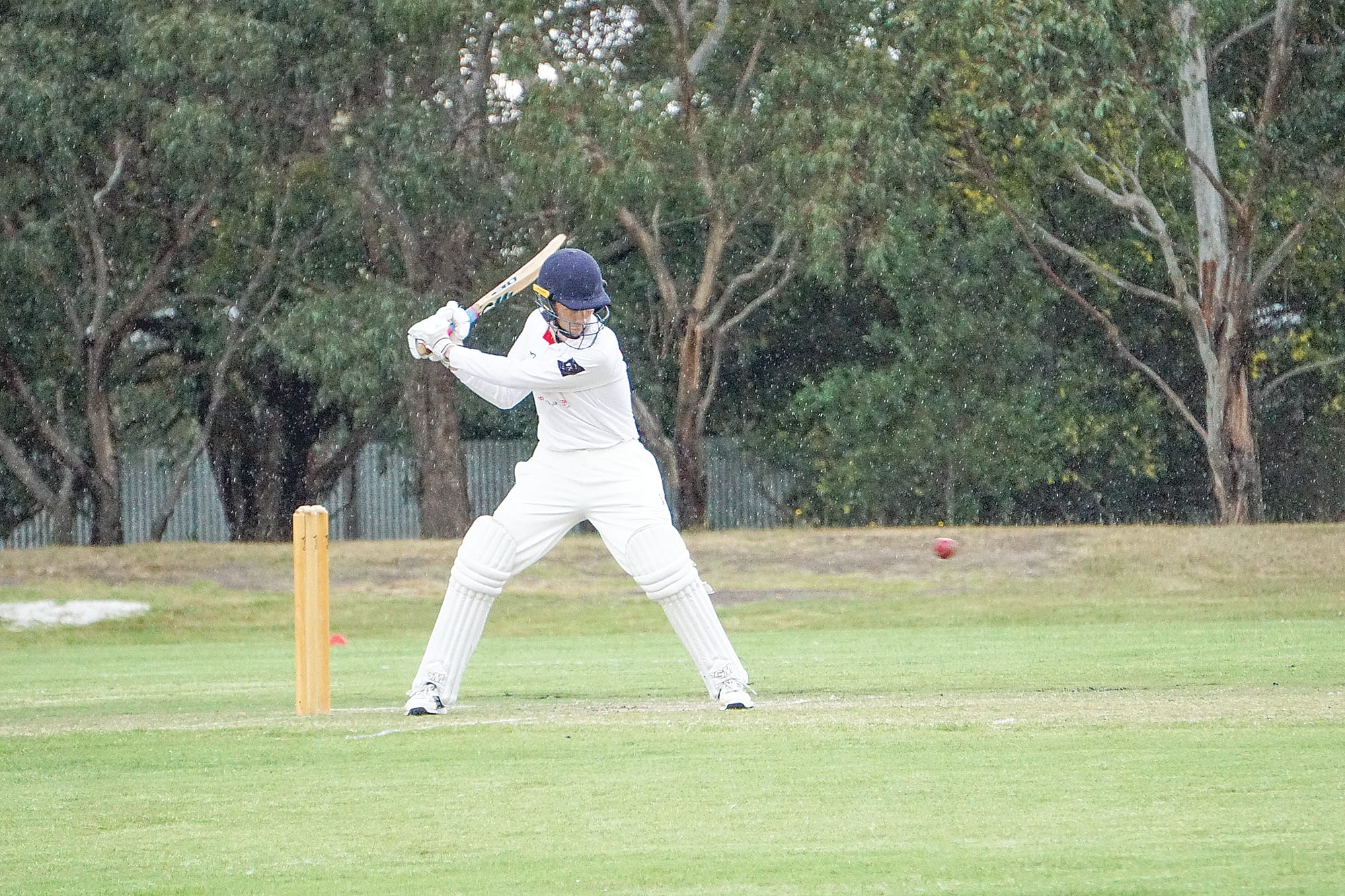 Isaac Seuren looks for a big swing. Ns12_4823
