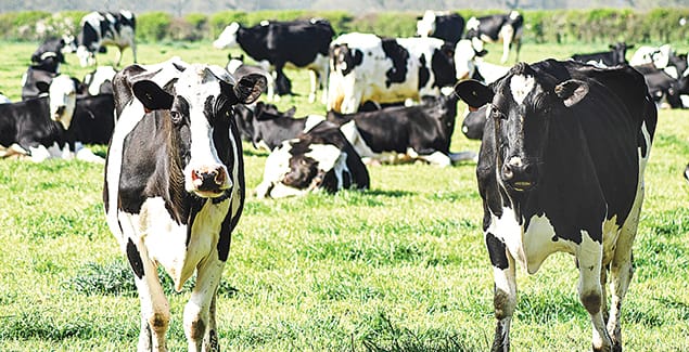 Top 5% of dairy farmers named