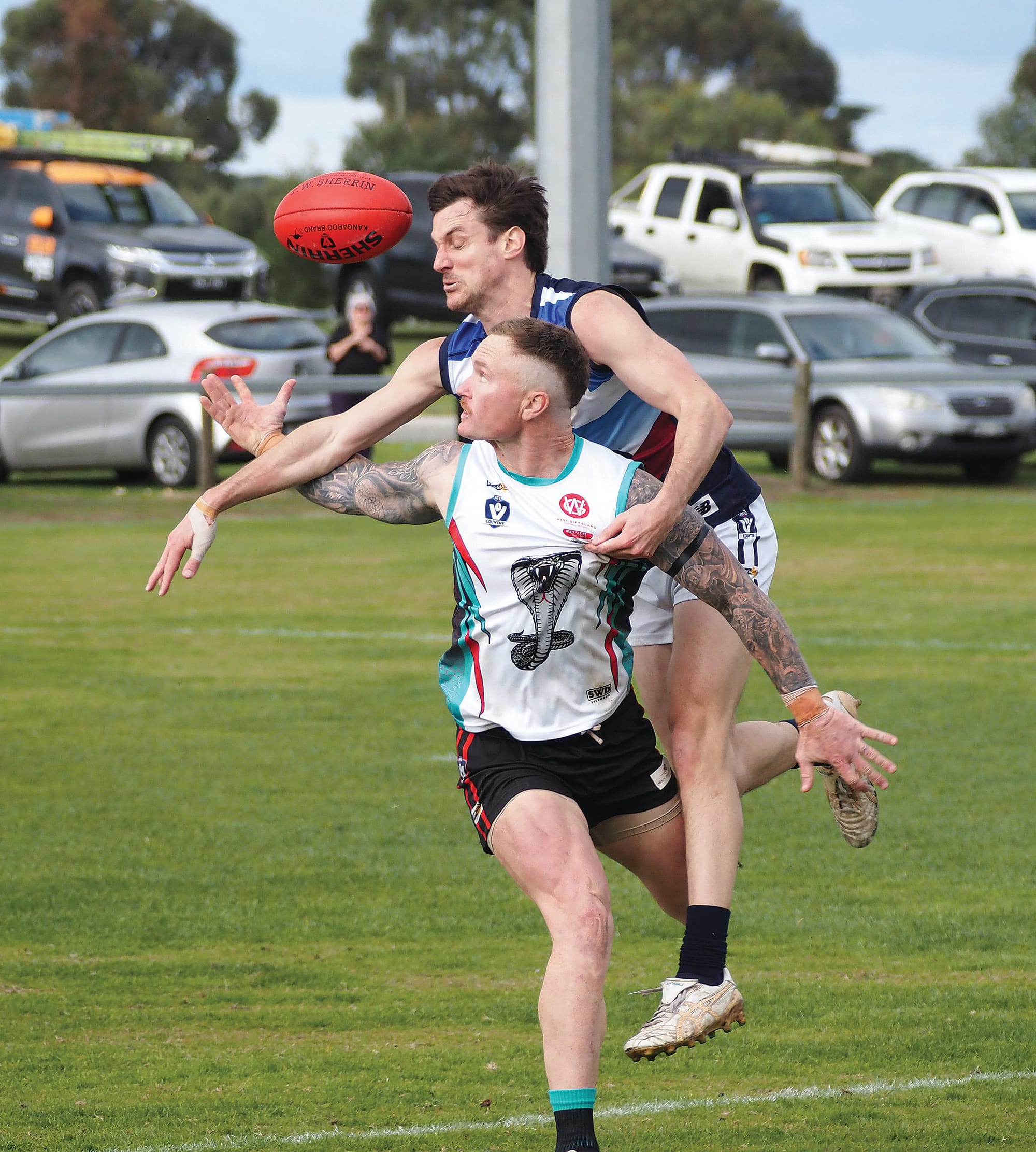 Panthers rattle the Cobras