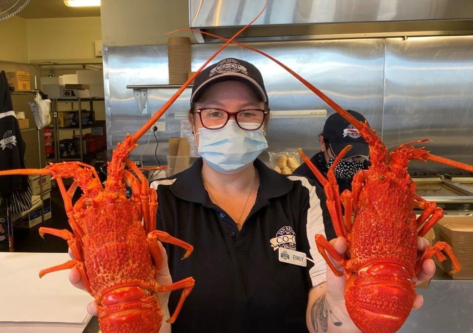 Here’s lobster luxury at a bargain basement price