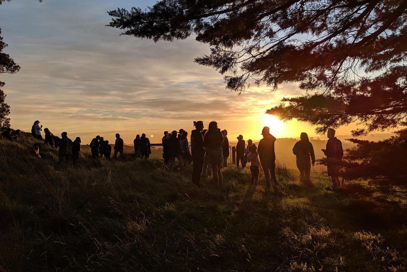The environmental sustainability initiative is between The Hills Are Alive Group and Bass Coast Landcare Network. 