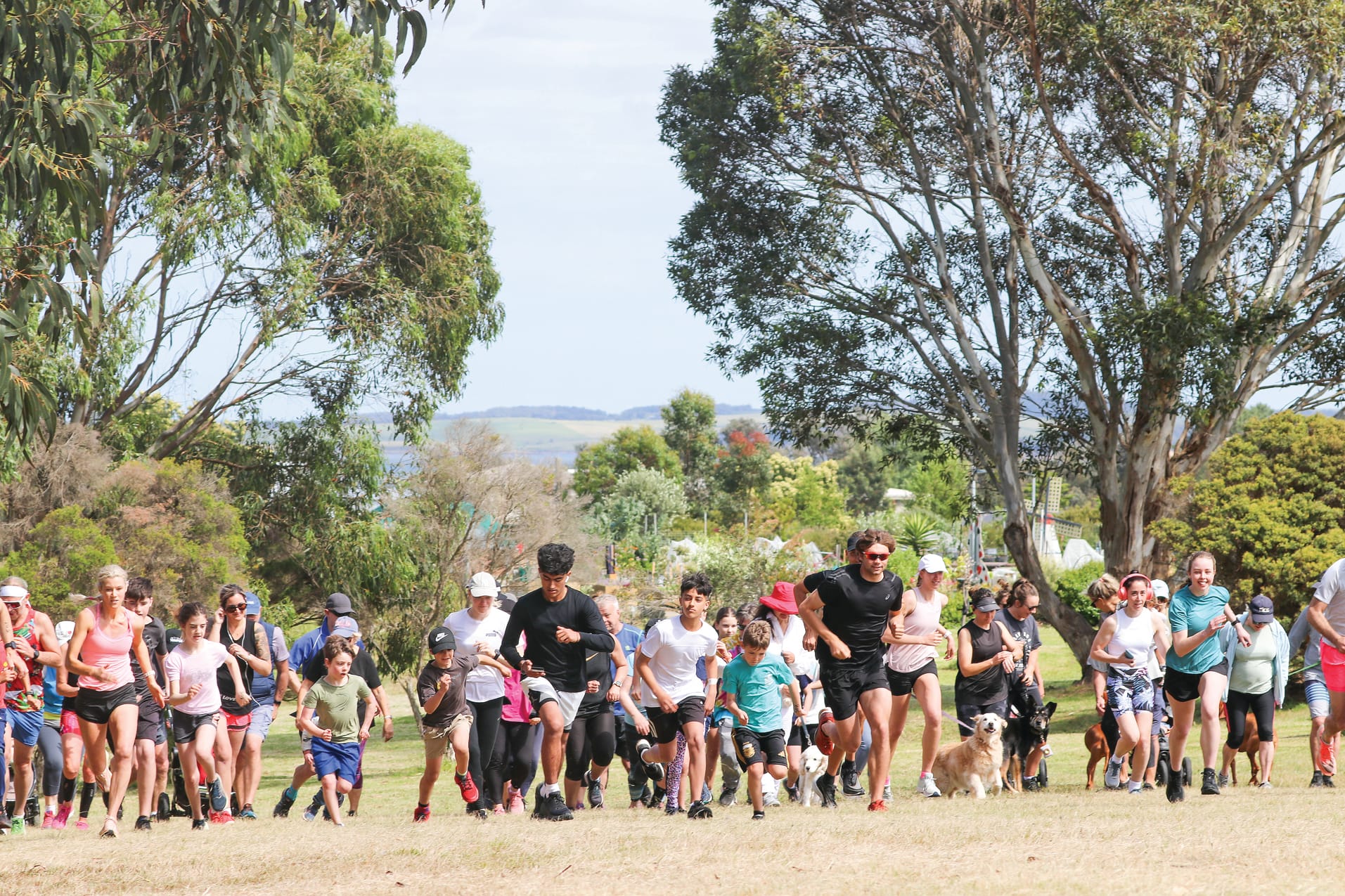 60 runners in six divisions take off to compete in the Coronet Bay annual Fun Run. Z39_4523 
