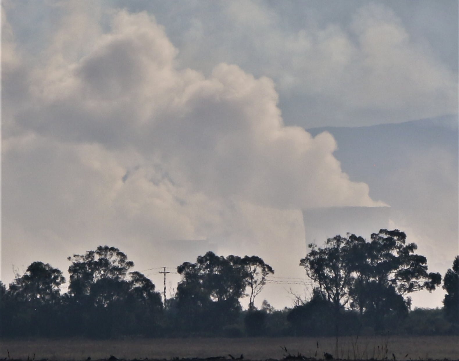 What if the Latrobe Valley’s transition is brought forward?