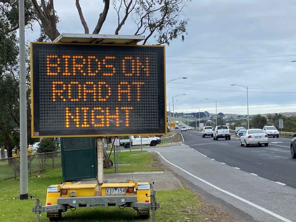 Big weather event this weekend for Shearwaters