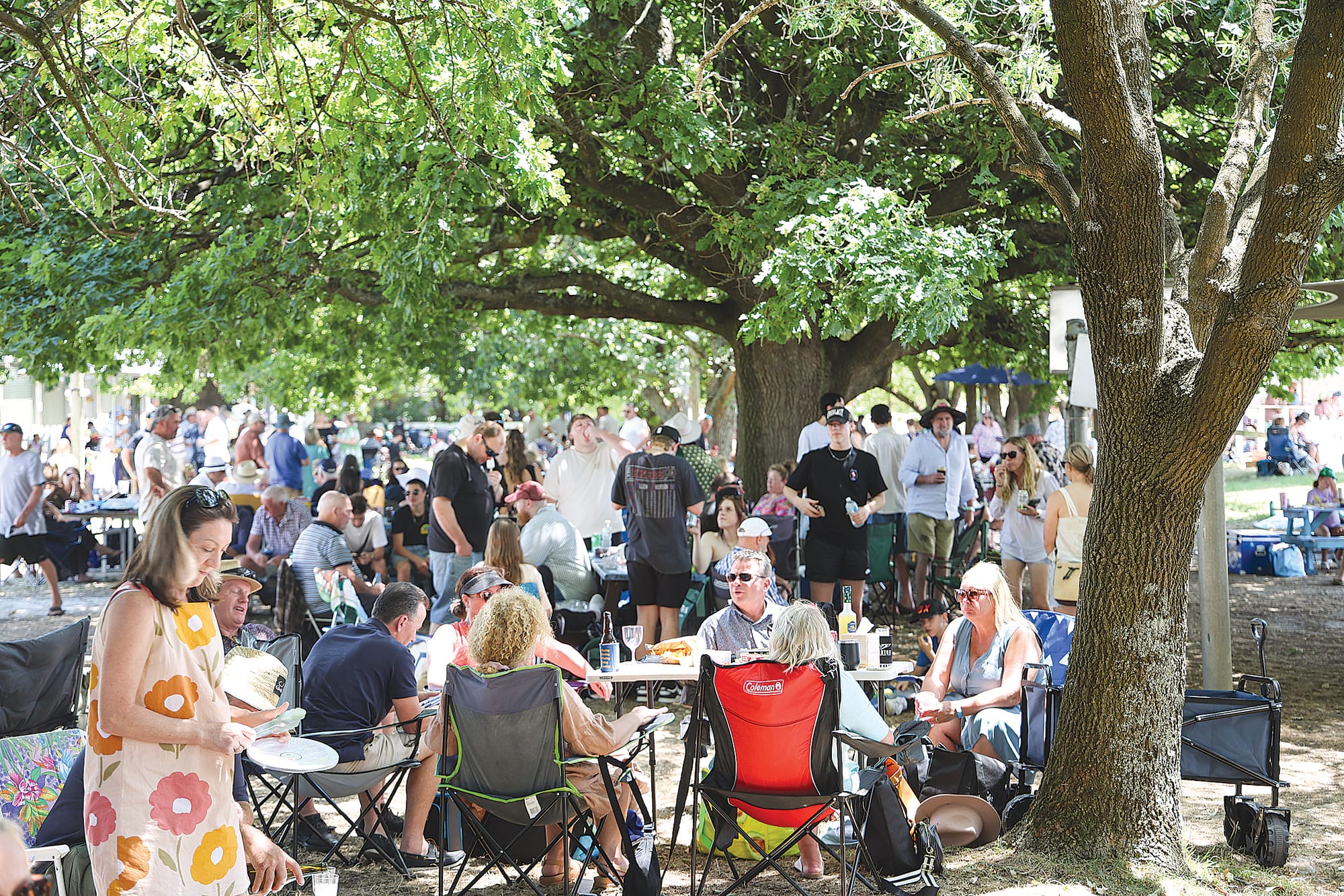 One of the coolest places to be on Saturday was under the elms at Woolamai.