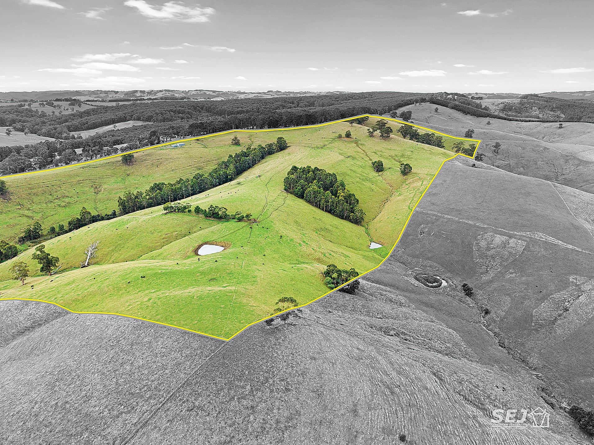 Magnificent views and 167 acres of grazing land