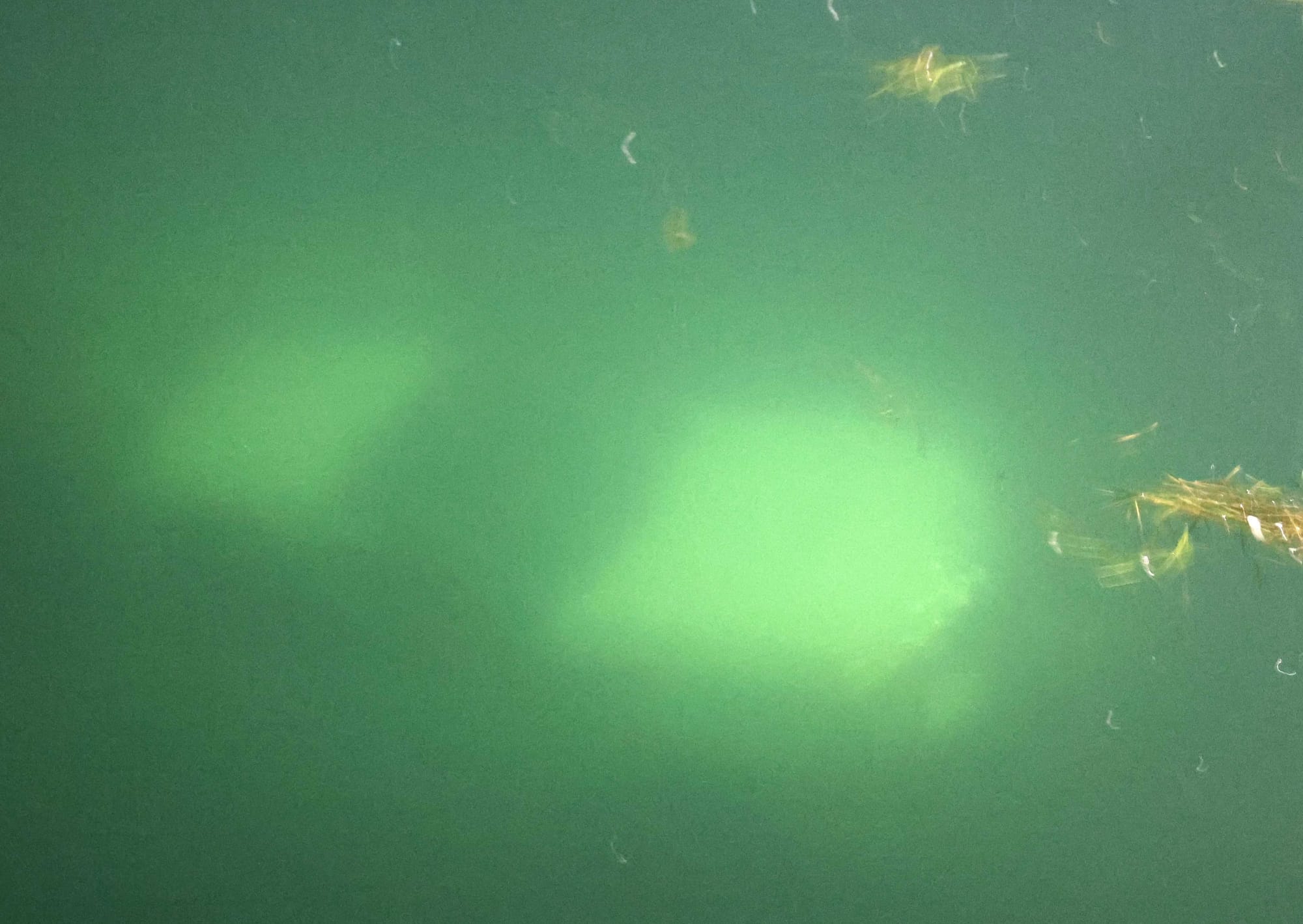 Rhyll Boat Ramp closed after car became fully submerged in boating mishap