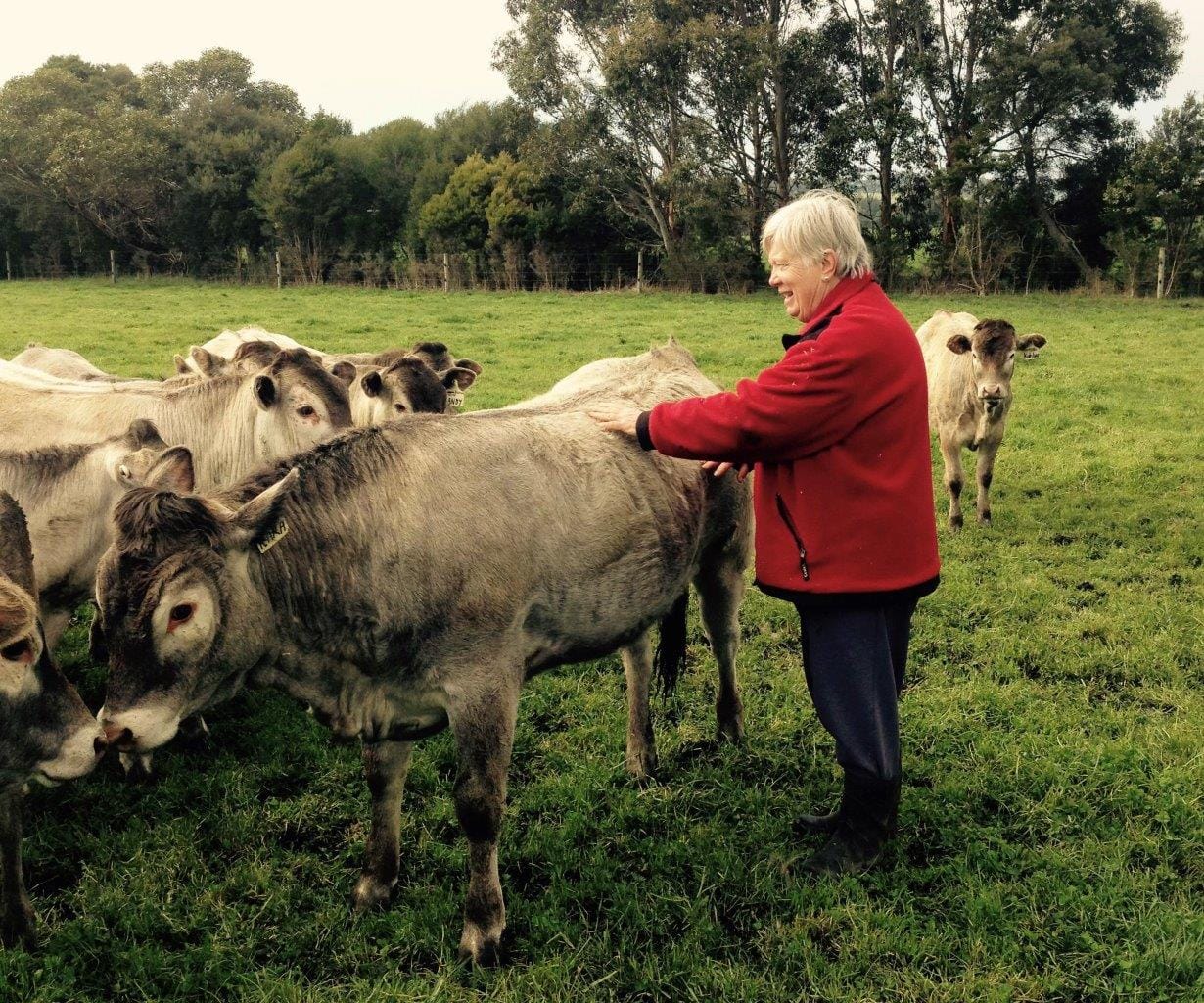 Hands off Bass Coast farming: DAL panel told