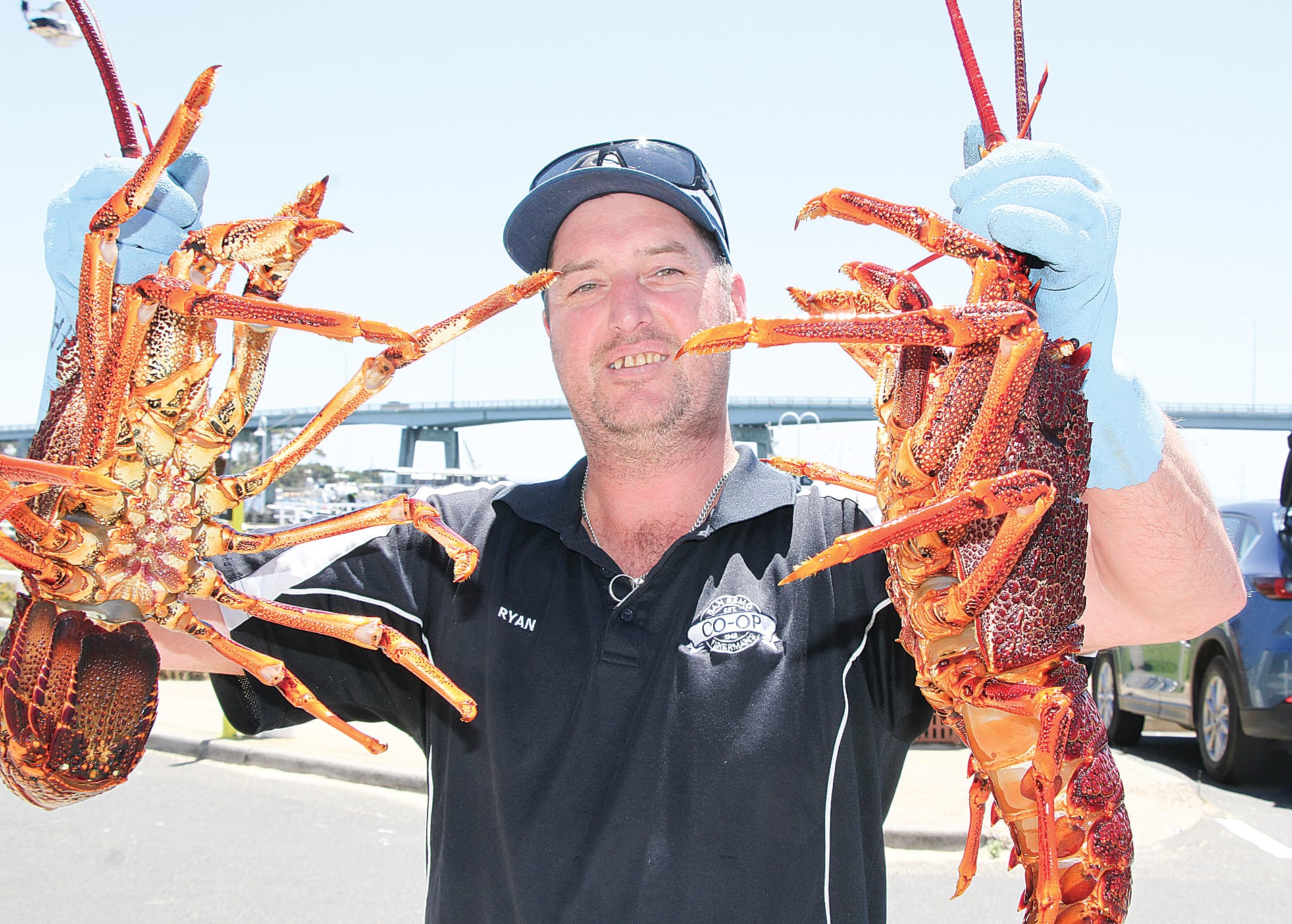 San Remo rock lobster priced for Christmas