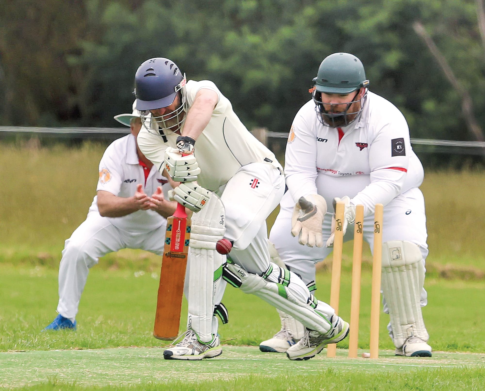 Stingrays strangle Sharks on the road