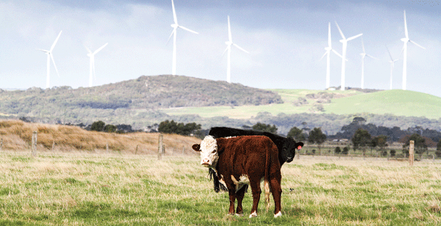 Turbine noise goes on trial