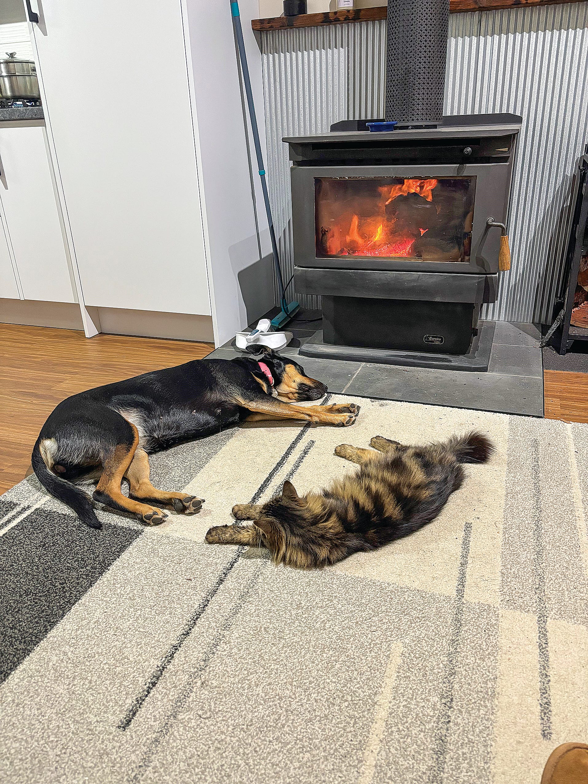 A log fire and animals are one way to keep warm when electricity prices start to rise, but concerns are growing as people face significant cost of living challenges.