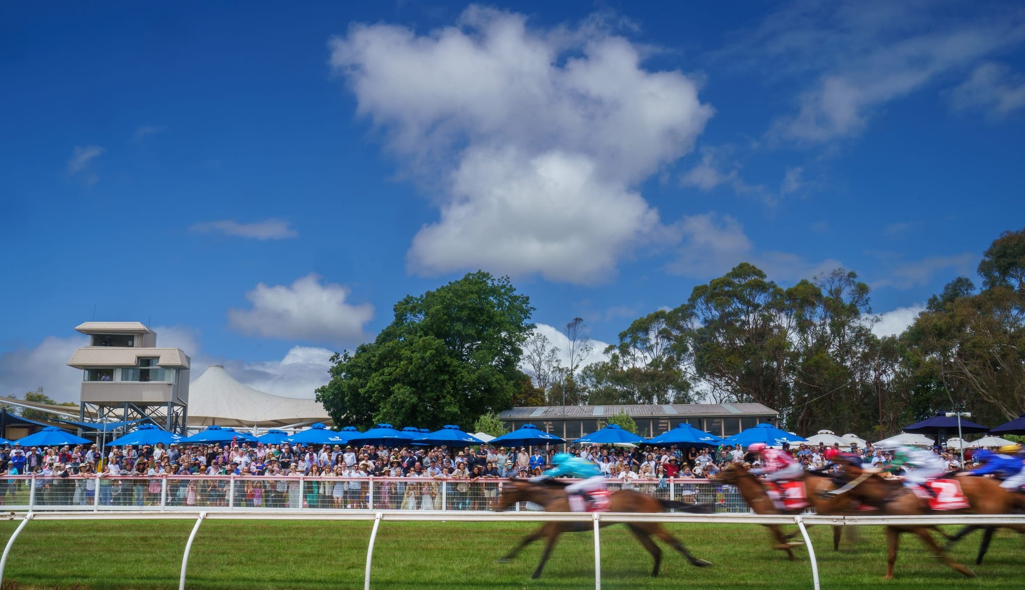 Pink theme for Tuesday January 3 Stony Creek races