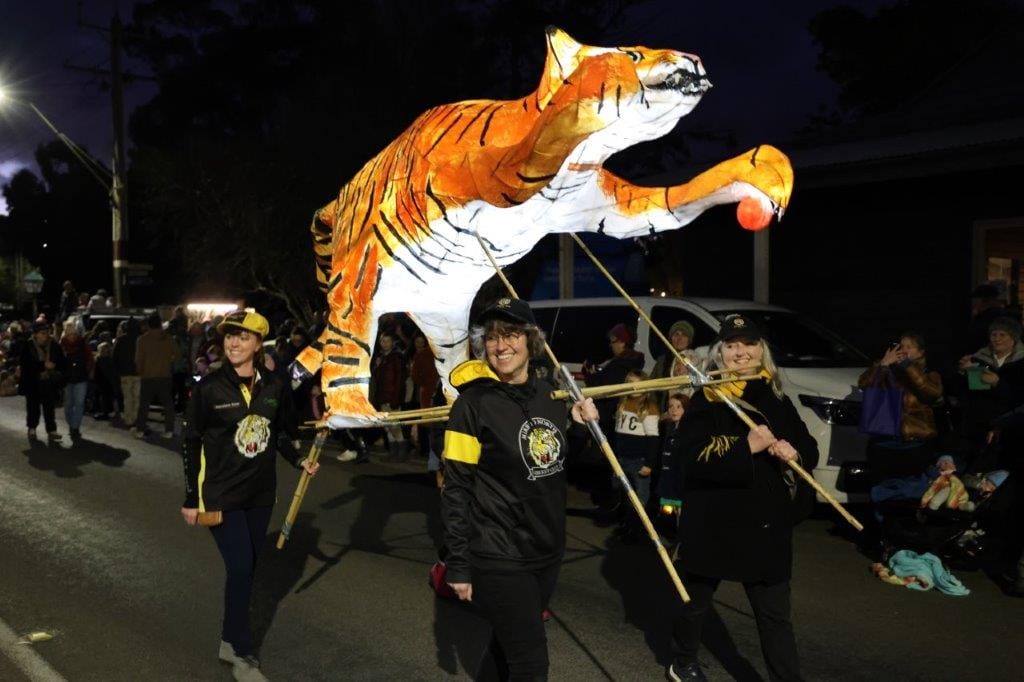 The Mirboo North Women’s Cricket Team’s entry of a prancing tiger was another highlight of the Winterfest lantern parade on Saturday night.