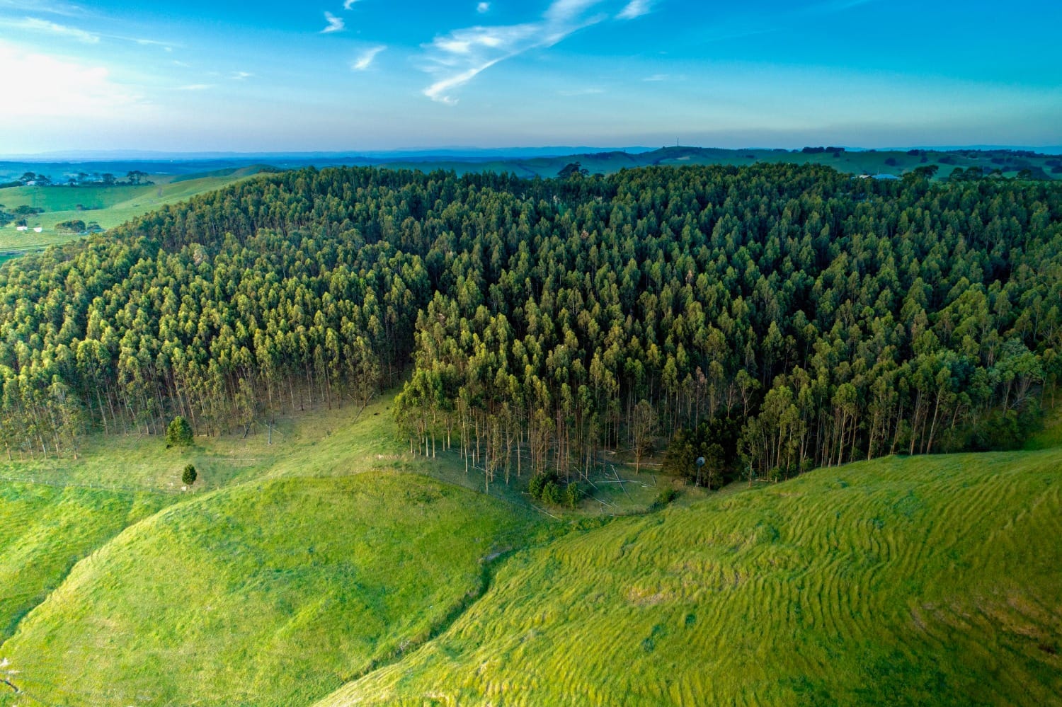The Hills Are Alive party with the planet