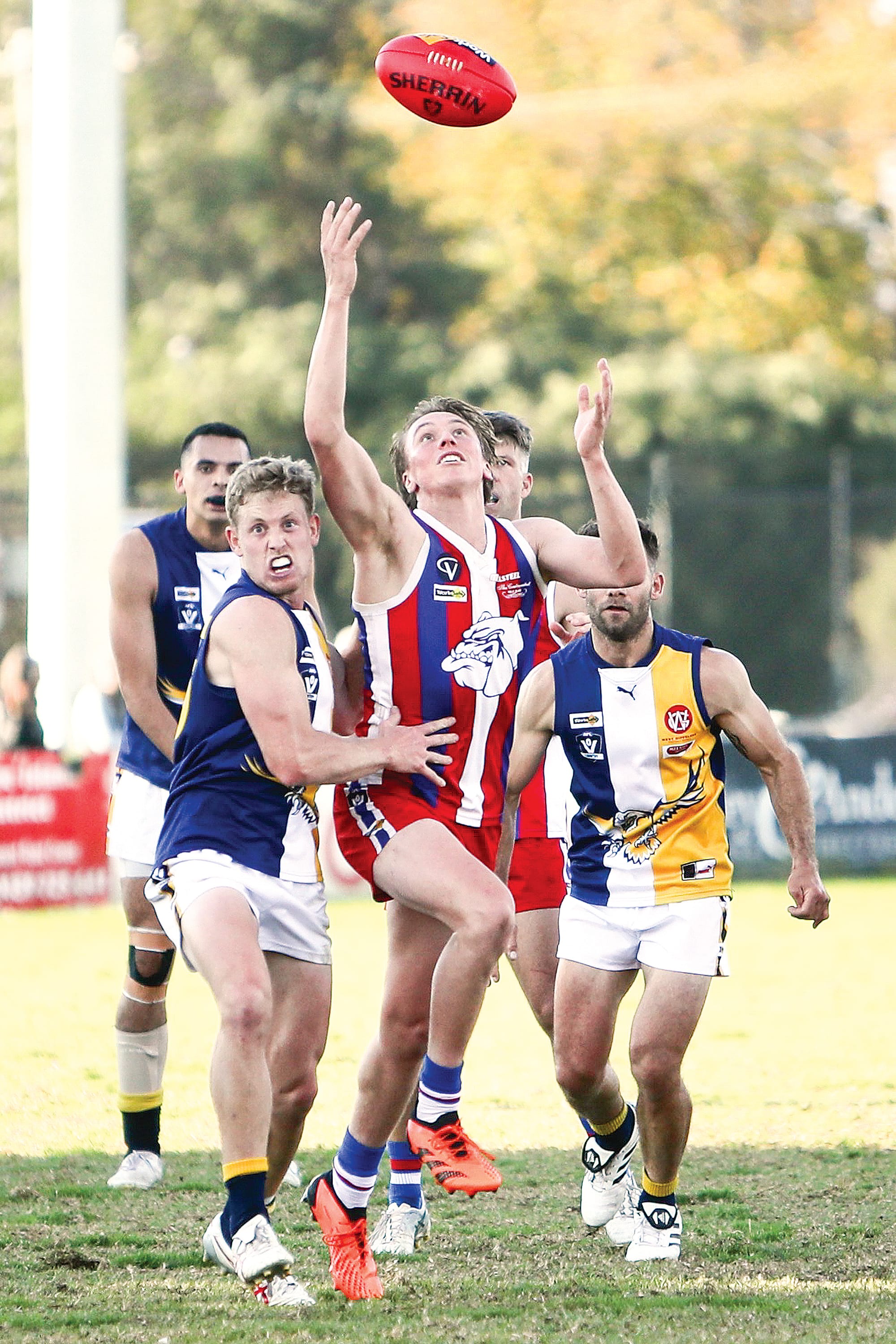 Phillip Island overwhelms Inverloch in thrilling upset