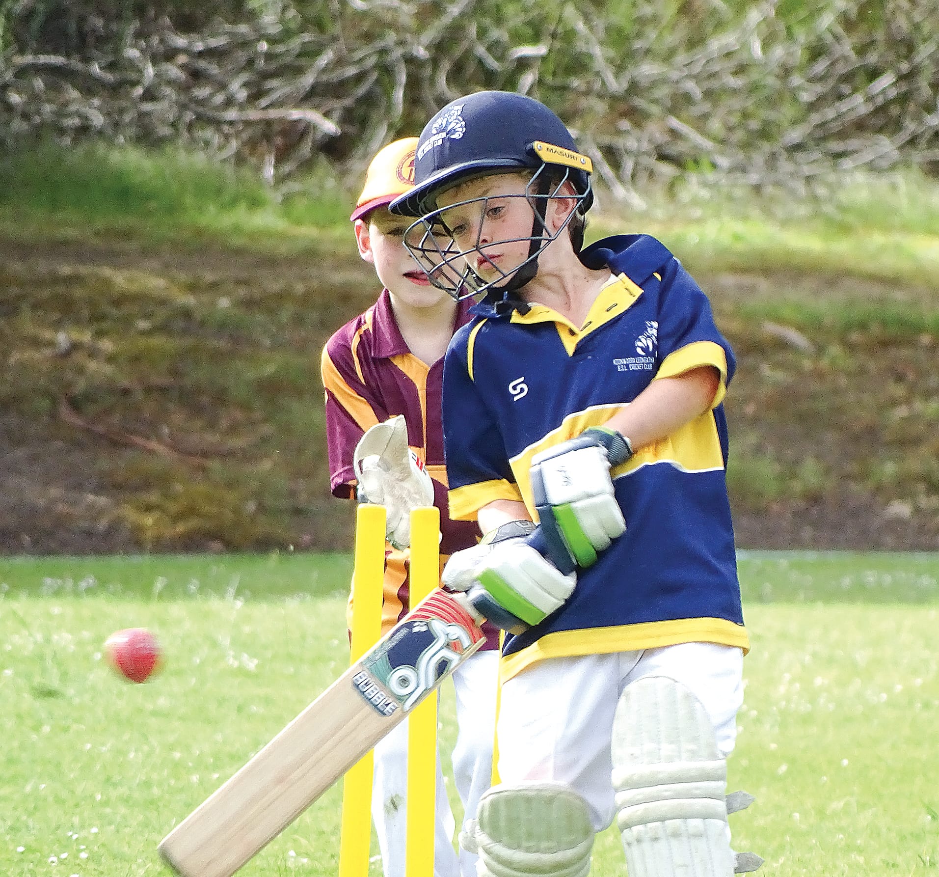 Wade Arnup batting for Koonwarra Leongatha RSL. 