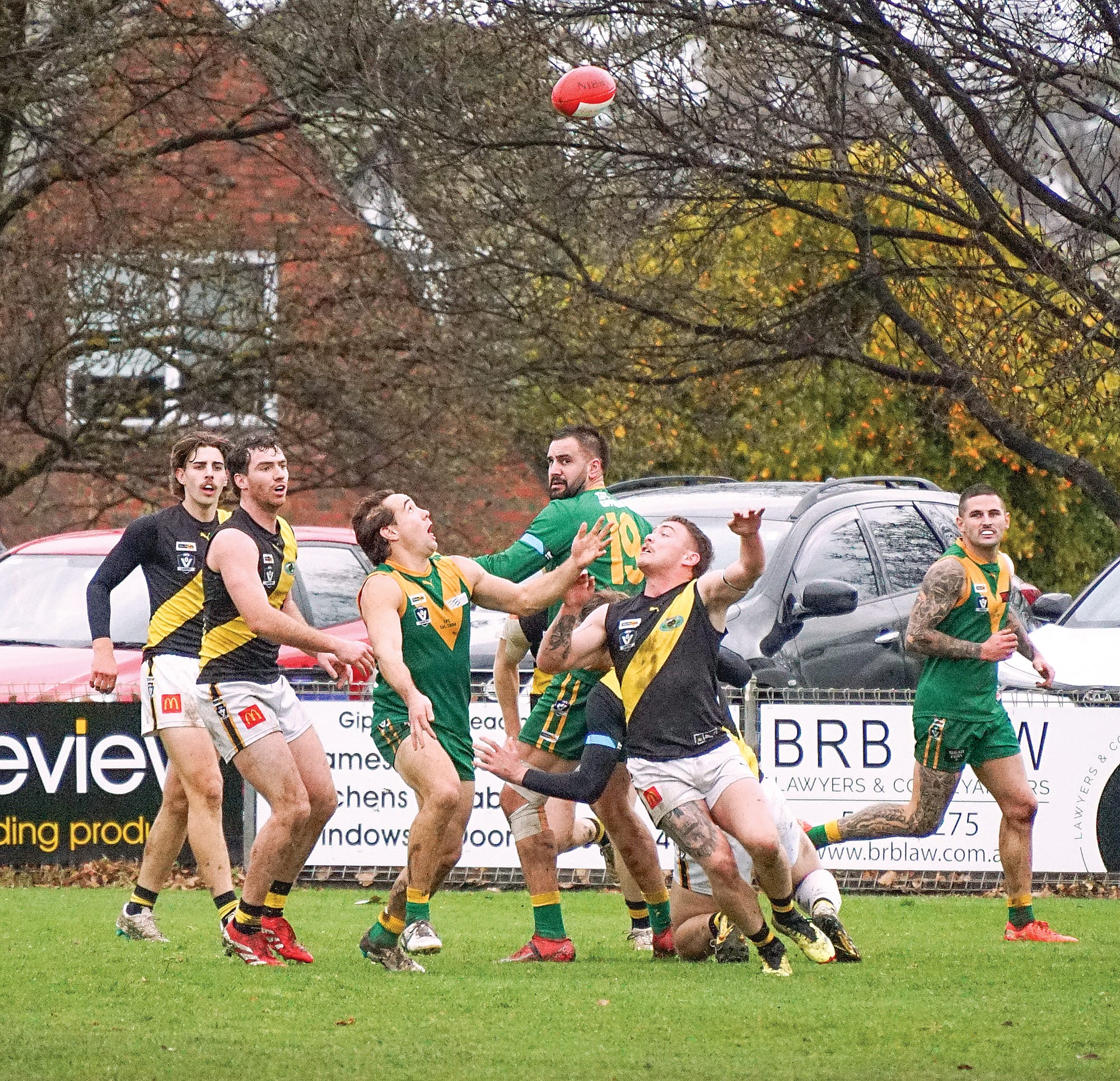 The Parrots look for the advantage. Ns20_3025