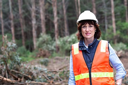 STATE BUDGET: Timber gone but regional workers not forgotten