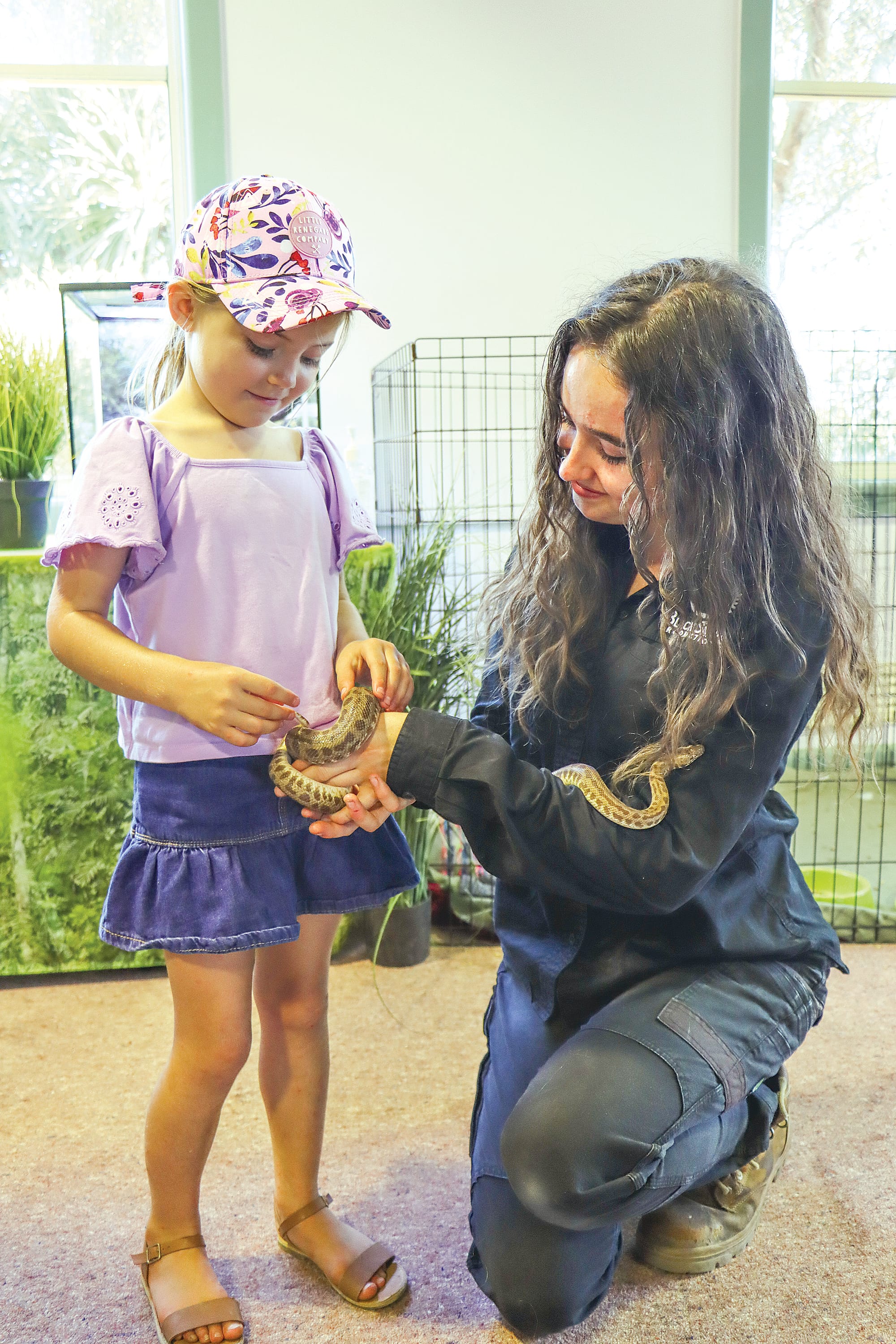 Ayla Facey of Sydney meets Stimson’s Python ‘Simon’, hearing about him from Freida James of Black Snake Productions. A31_0224