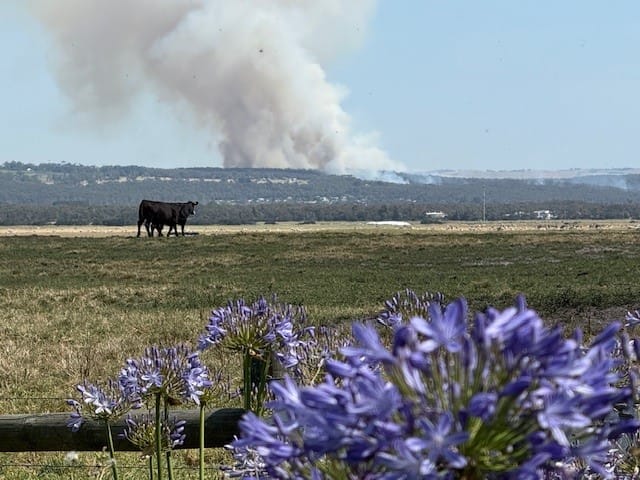 View from the South Gippsland Highway at Nyora.