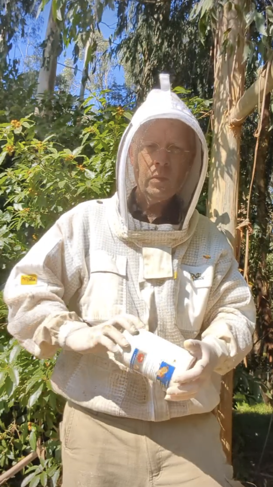 Varroa mite threat arrives in South Gippsland
