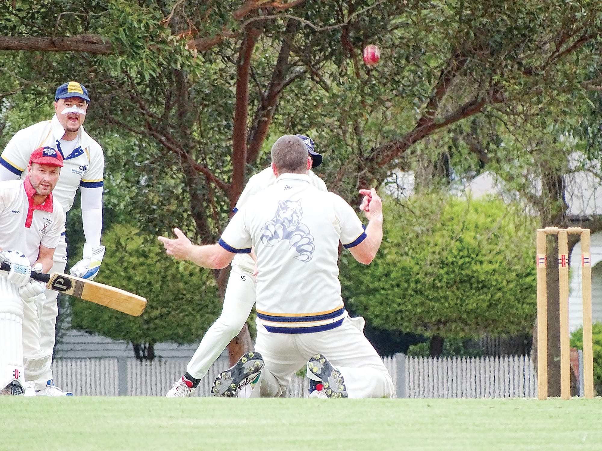 Nick Arnup caught and bowled Matthew Donohue to the delight of keeper Jimmy Rushton. Photo credit: Jodie Arnup.