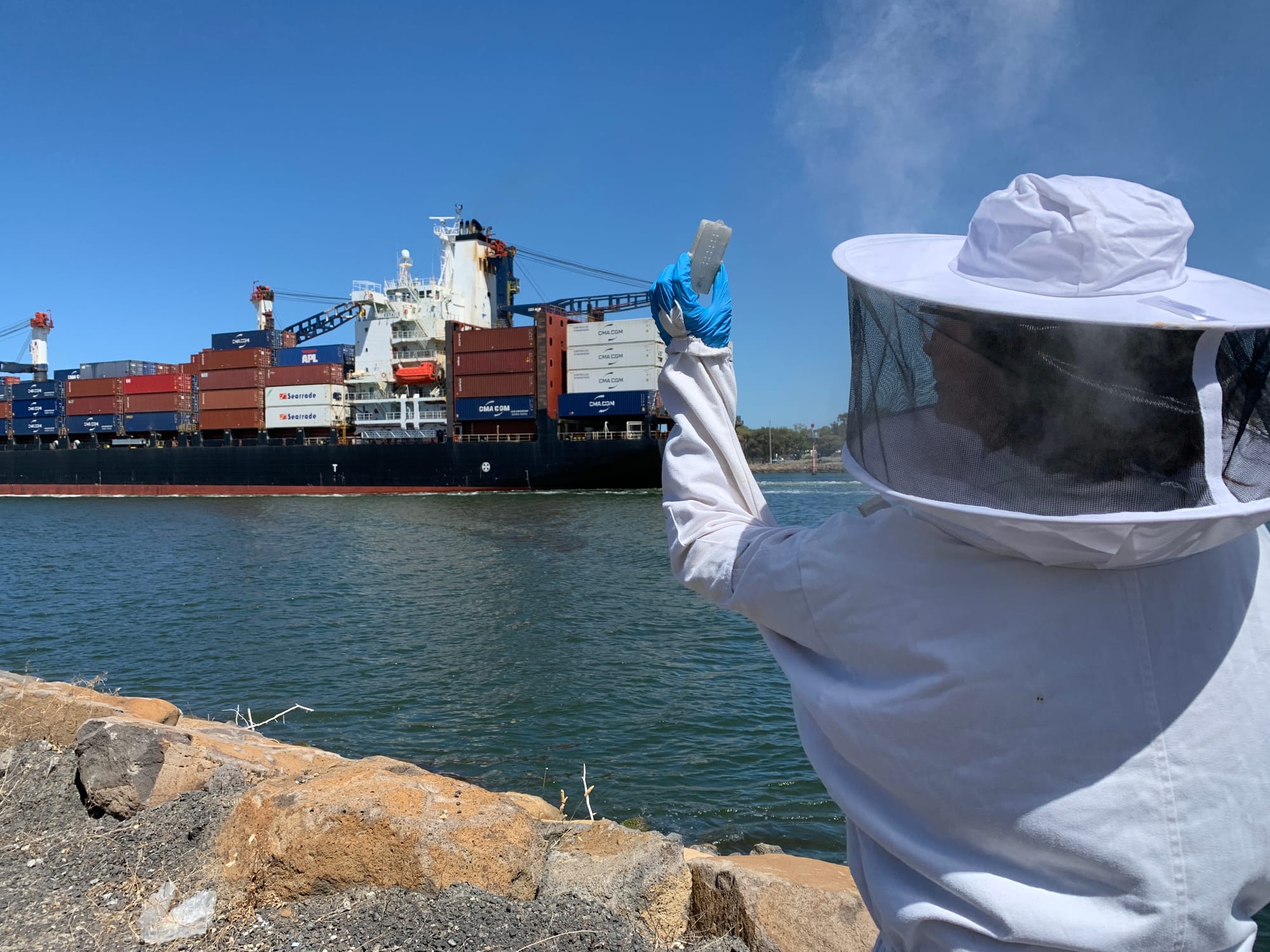Restrictions have been announced to prohibit the movement of bees from New South Wales into Victoria to help prevent the spread of Varroa mite.

