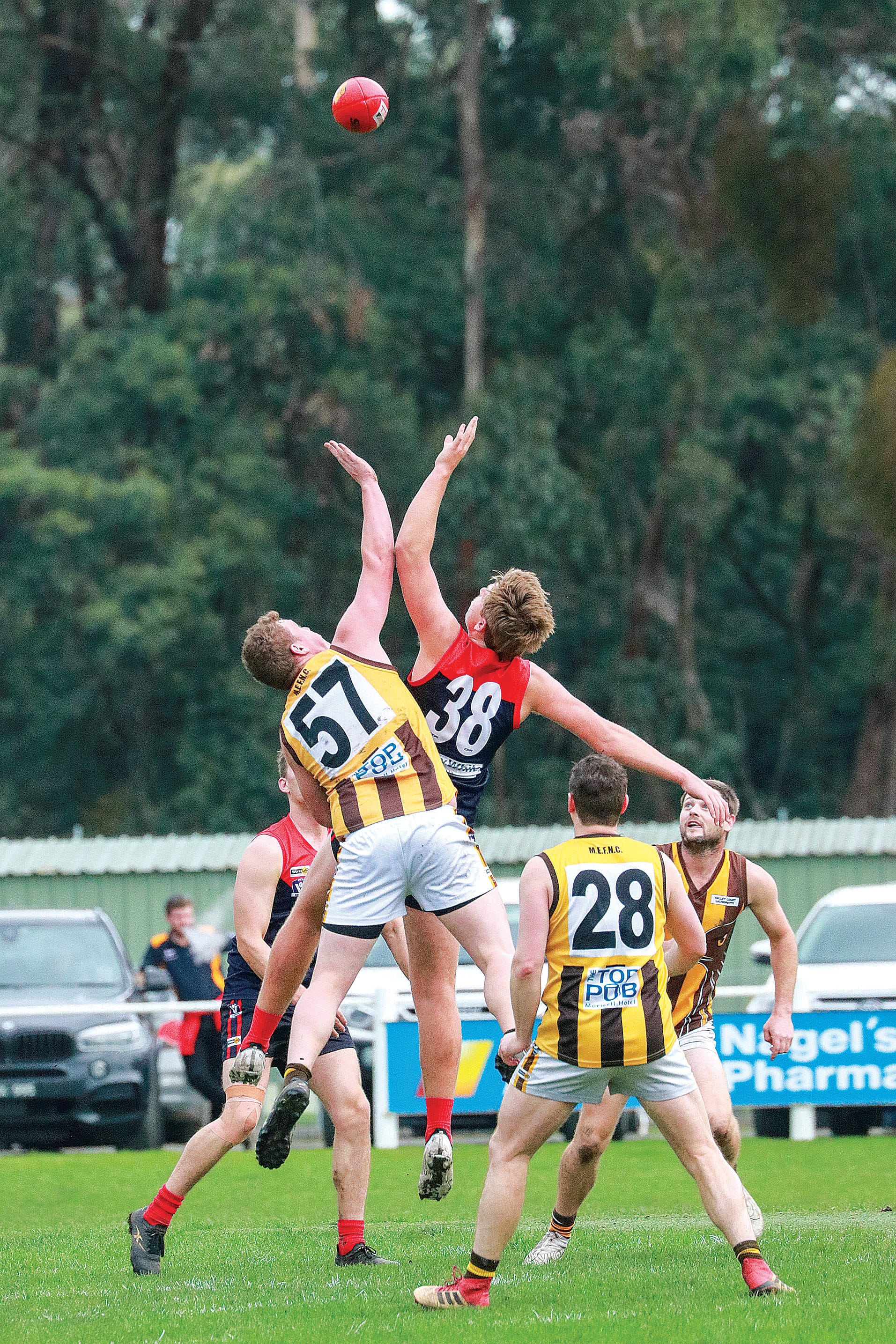 Aaron Dodd and Jacob Whiteside go in for a ball-up in the first quarter. Z26_2323