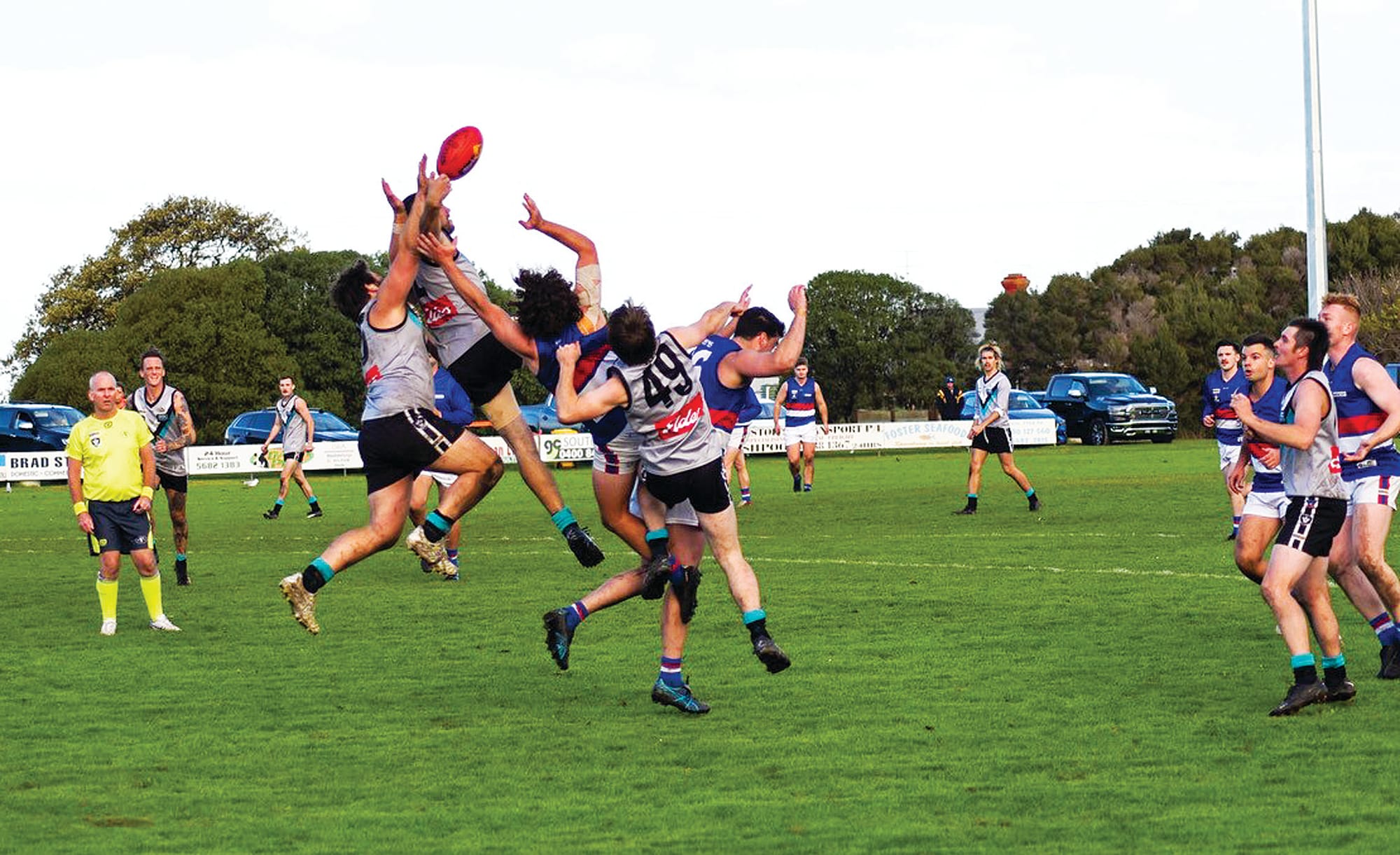 Magpies no match for ferocious Bulldogs