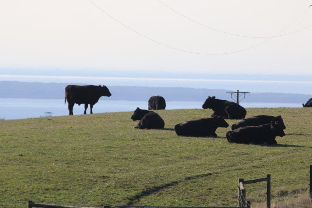 Last day for Bass Coast to make comment