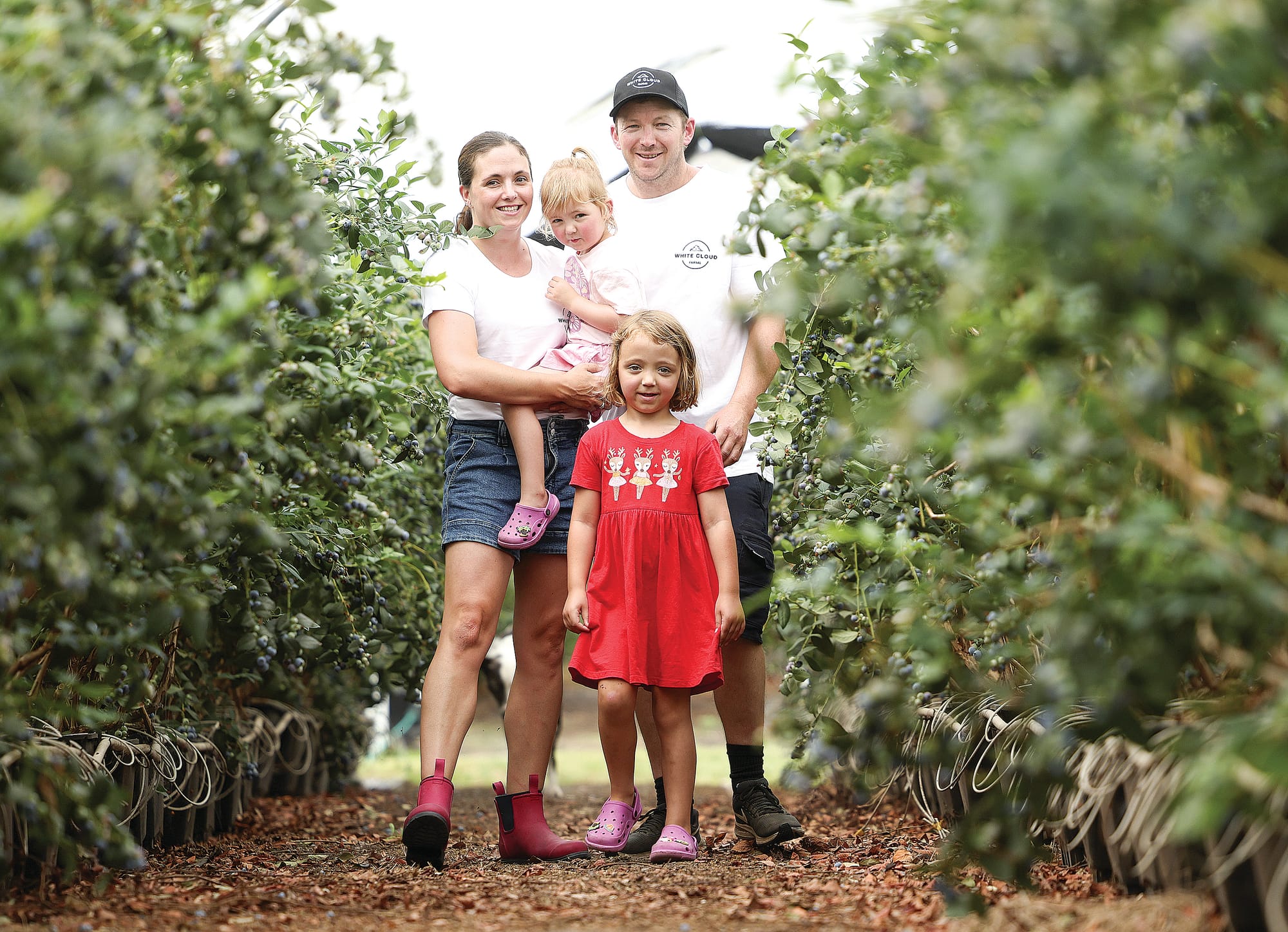 Helping Victorian businesses grow with grants of up to $500,000