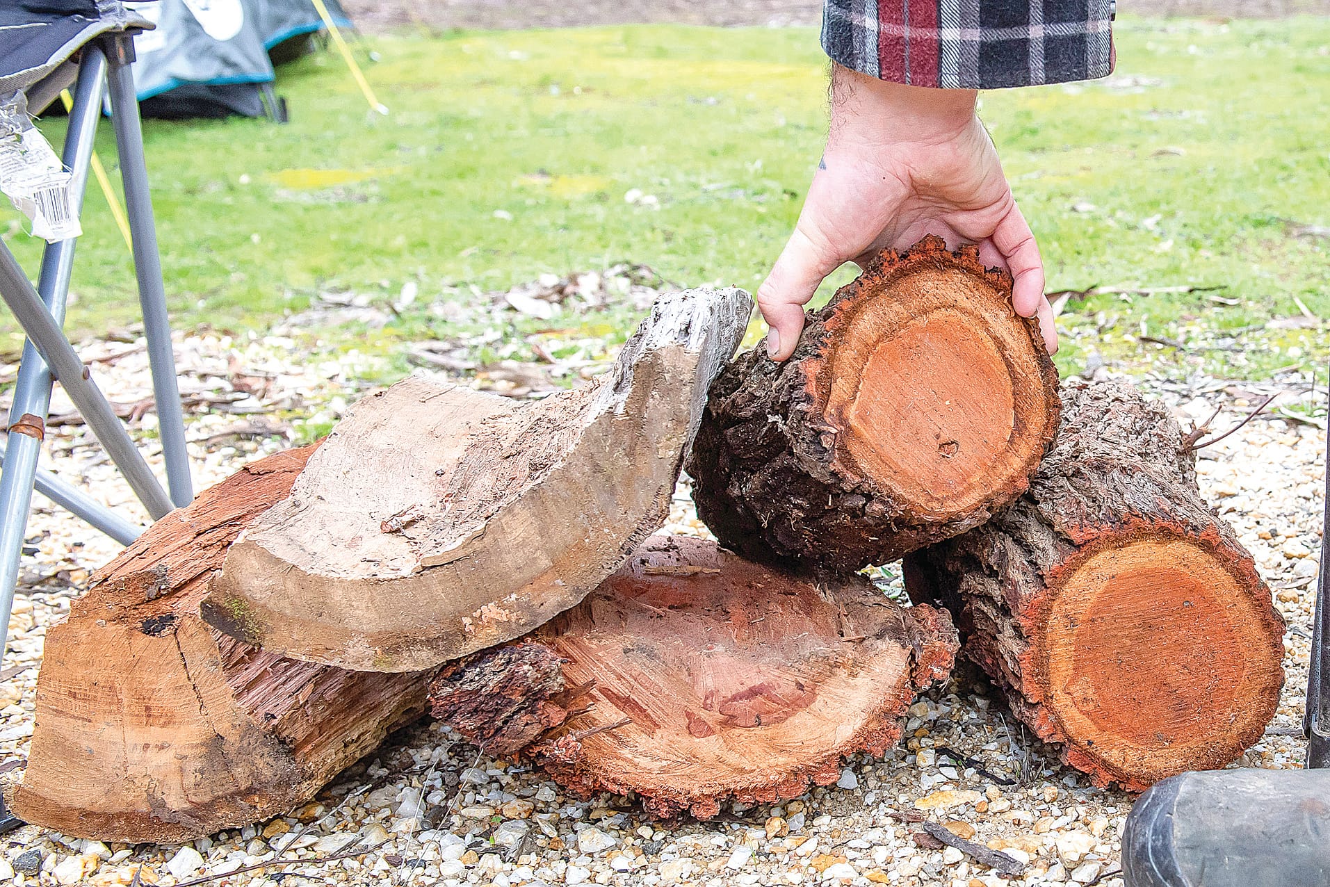 Spring firewood collection season opens in Gippsland